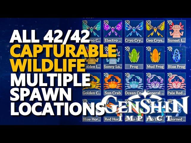 All Capturable Omni-Ubiquity Net Creatures Genshin Impact Archive Wildlife