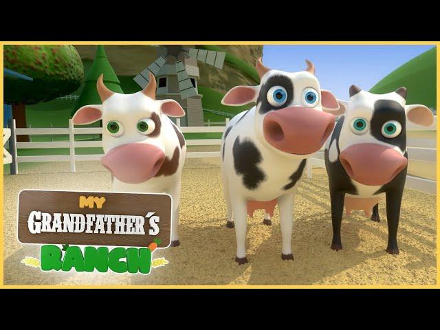 Lola the cow  children’s videos  nursery rhymes songs