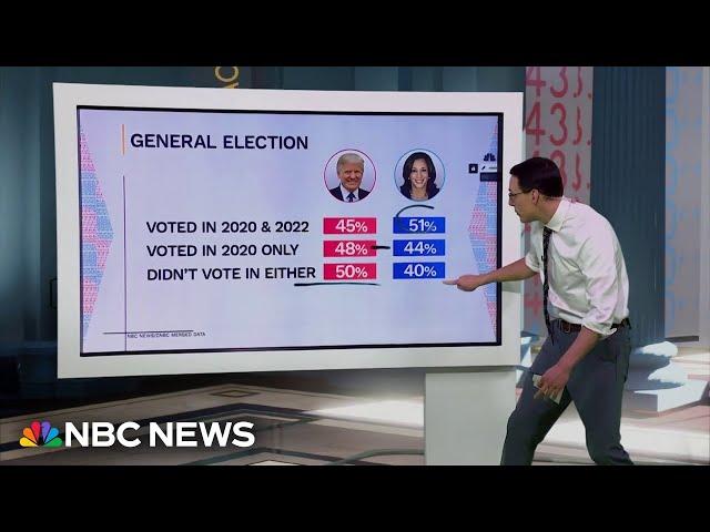 Steve Kornacki: The persuadable voters Trump and Harris are trying to win over