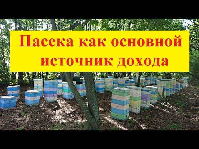 Пасека как основной источник дохода