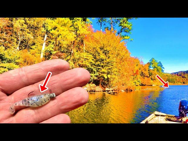 Simple Way To Find & Catch LOADS Of Fall Crappie