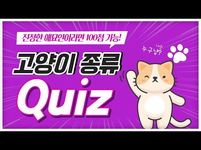 [스피드퀴즈] 애묘인이라면 무조건 100점! 인기 많은 고양이 12종류!