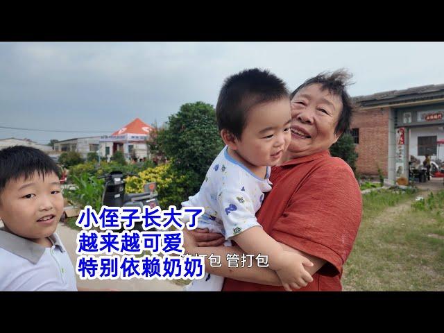 【短视频】小侄子长大了，越来越可爱，特别依赖奶奶