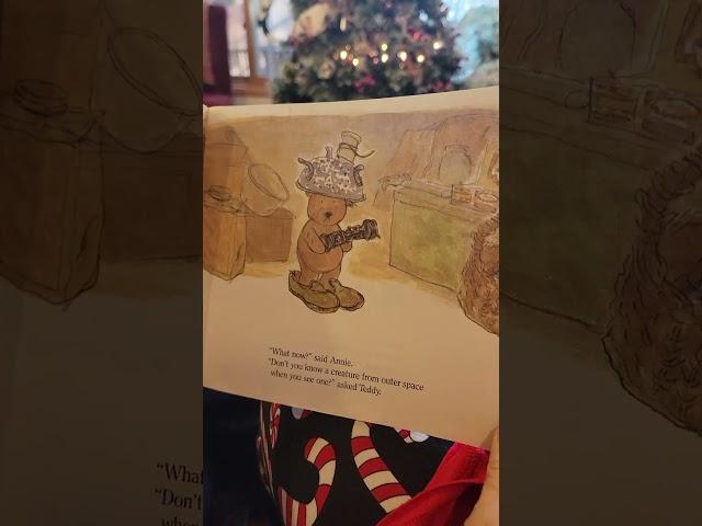 The Night After Christmas by James Stevenson