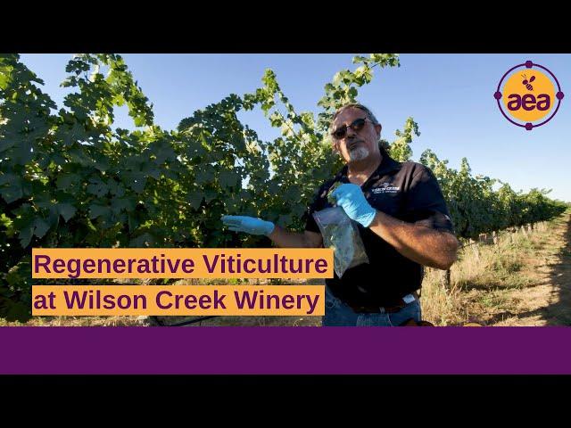 Regenerative Viticulture at Wilson Creek Winery & Vineyards | Greg Pennyroyal, Vineyard Manager