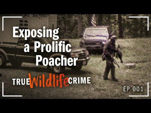 True Wildlife Crime: Exposing a Prolific Turkey Poacher