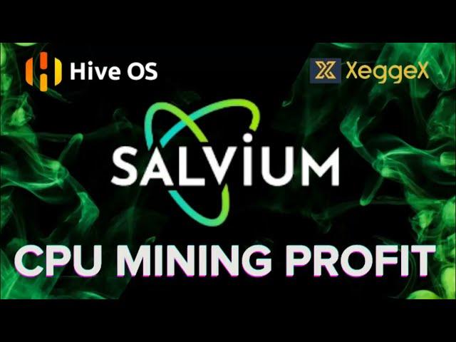 SALVIUM (SAL) NOW TOP PROFIT! Easy HIVEOS Mining Tutorial + Pool + Wallet!