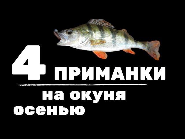 4 приманки на окуня осенью. Где искать рыбу, какие веса и цвета использовать?