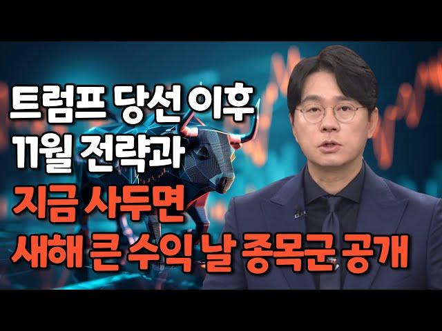 11/9 트럼프 당선후 증시, 테슬라 원픽,  유망 한국주식과 미국주식