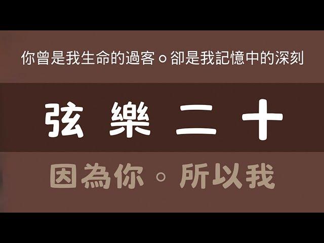 因為你。所以我-弦樂二十音樂會-校友團表演