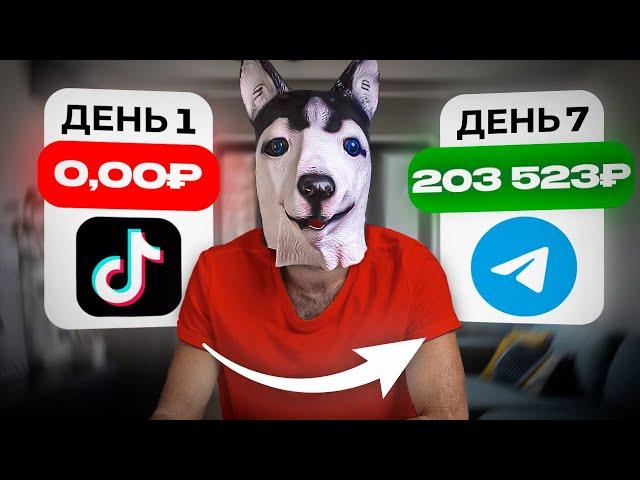 7 ЛУЧШИХ Способов Заработка в ТЕЛЕГРАМ с НУЛЯ [+150$ДЕНЬ]