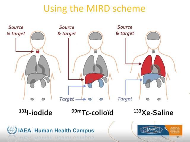 IAEA/EANM webinar - Basic Radiopharmaceutical Dosimetry - Basic Nuclear Medicine webinars series