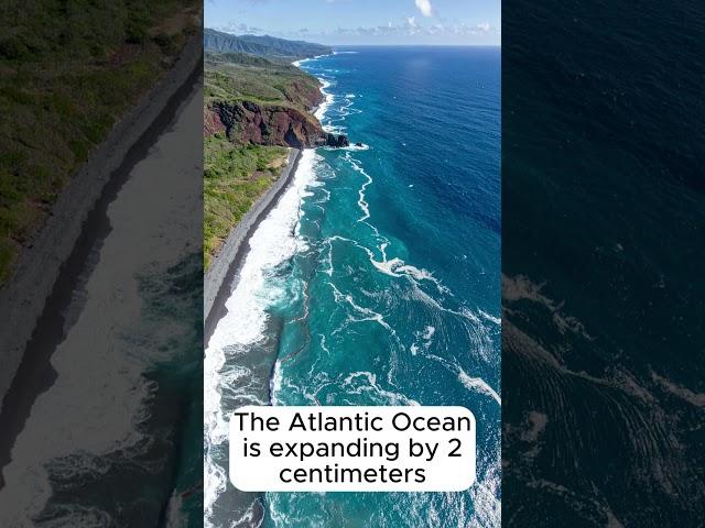 Where Will the Mediterranean Sea Go