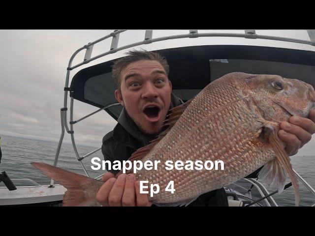 WE GOT A BIG SNAPPER!!! Snapper Season - ep 4