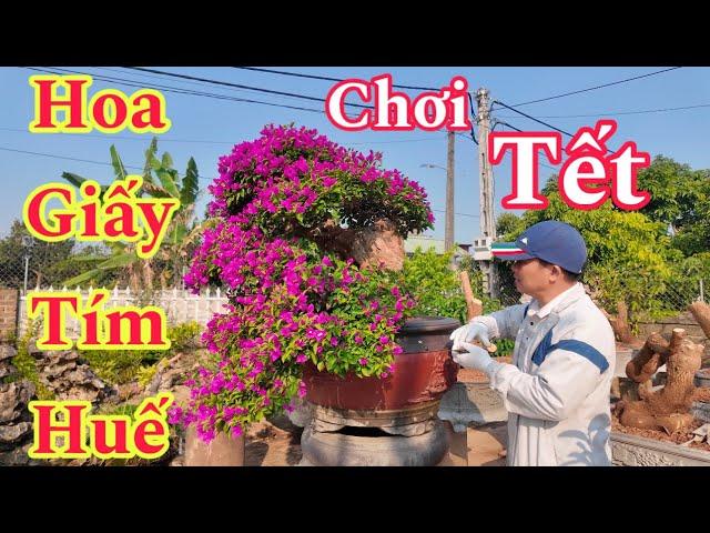 Nhà Vườn Giáp Đại Lại lên và Chia Sẻ-Báo Giá nhiều tác phẩm đẹp gửi đến anh em chơi cây trên cả nước