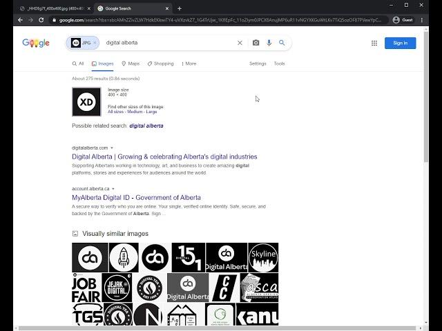 Reverse Image Search Specific to a Single Website