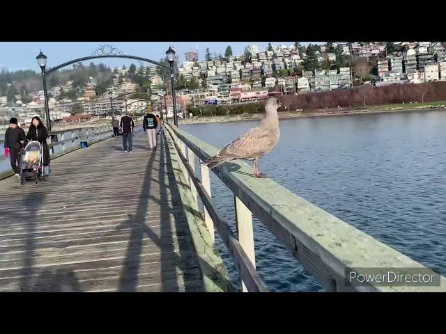 White Rock Beach, British Columbia, Canada