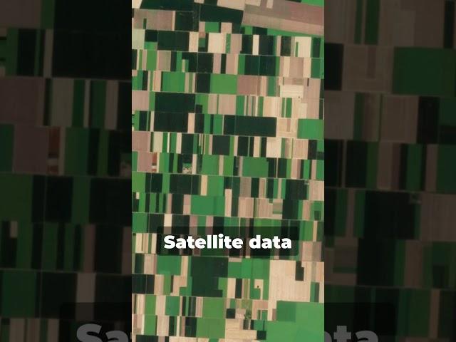 SHORT How Satellite Data is Transforming Agriculture