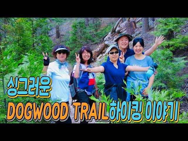 애뜰의 싱그러운 DOGWOOD TRAIL 하이킹 이야기