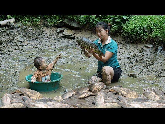 How to catch giant fish in the pond with your kids - Triệu Thị Hiền