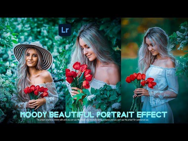 Lightroom free preset dng file download | Moody beautiful portrait color effect | Lr mobile tutorial