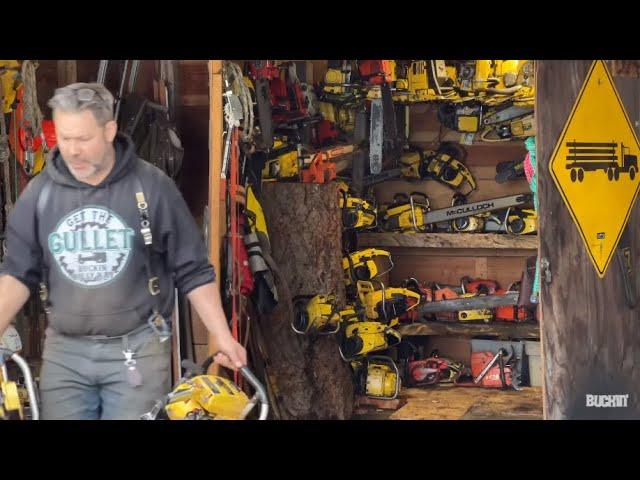 Huge ! Vintage power saw collection - a logger’s chores