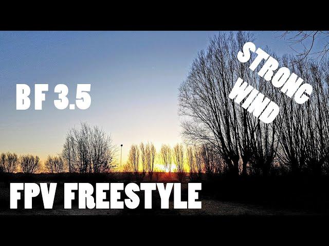 Attempting To Fly In Strong Wind | FPV Freestyle