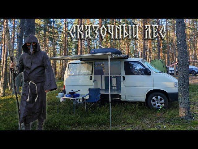 Путешествие в СКАЗОЧНЫЙ ЛЕС на фестиваль Автодомов. Закрытие сезона HelloCamper.