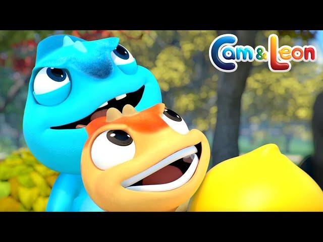 (NEW) Cam & Leon | THE CHASE (S01E59) Cartoon for Kids | Funny Cartoon