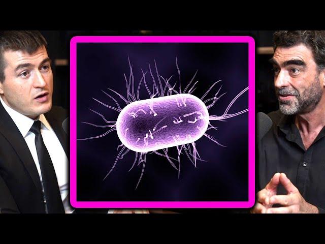 Origin of life on Earth: How it happened | Nick Lane and Lex Fridman