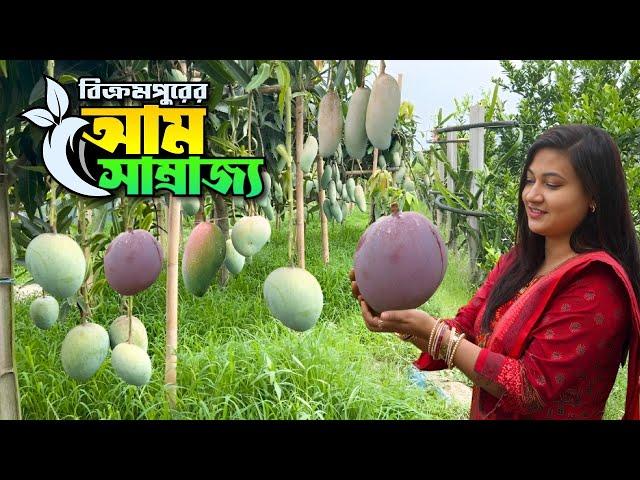 বিশ্বের নামীদামি ১৩০ জাতের আমের সমাহার বিক্রমপুরের এক বাগানে || World Famous Mangoes || Munshiganj