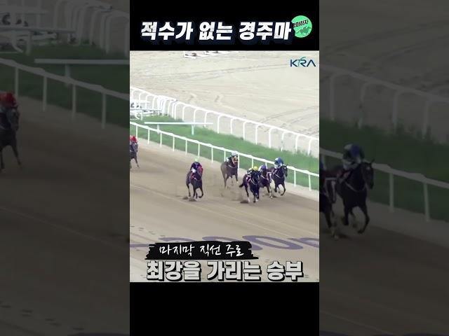 완벽한 세대교체! 또 한번의 우승 '글로벌히트' #shorts