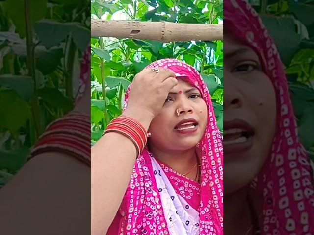 #song #folksong #dehati #dance #bhajan #vivahgeet #video #bhojpuri #sohar #geet