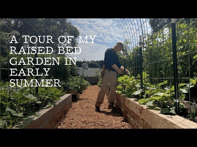 A Tour of my Raised Bed Vegetable Garden in June | Week-by-Week Insights and Tips!