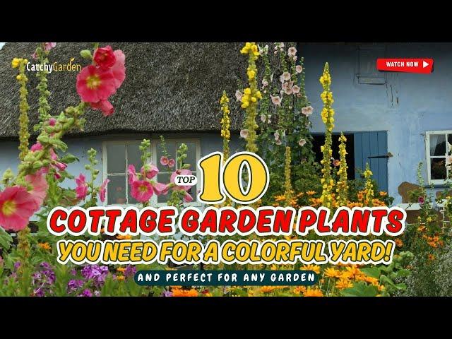 TOP 10 Cottage Garden Plants You NEED for a COLORFUL Yard!   // Gardening Ideas