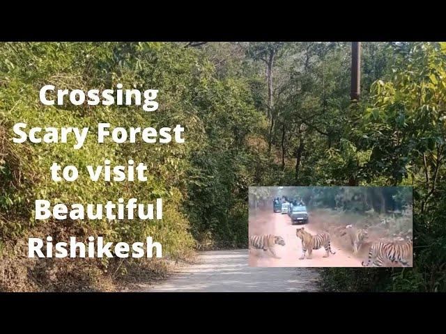 Crossing Scary Forest to visit Beautiful Rishikesh | Shaktipeeth Digital