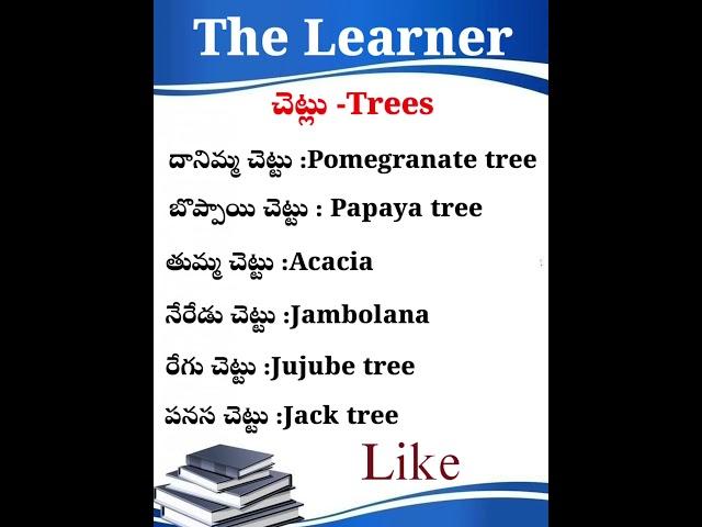 Learn Spoken ENGLISH Easily in Telugu!