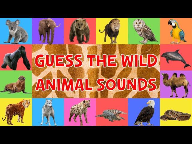 Guess The Wild Animal Sounds For Kids | 4K