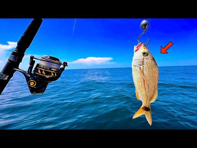 Fishing a LIVE! RUBY RED LIP in 100' DEEP for my DINNER! [Gulf of Mexico]