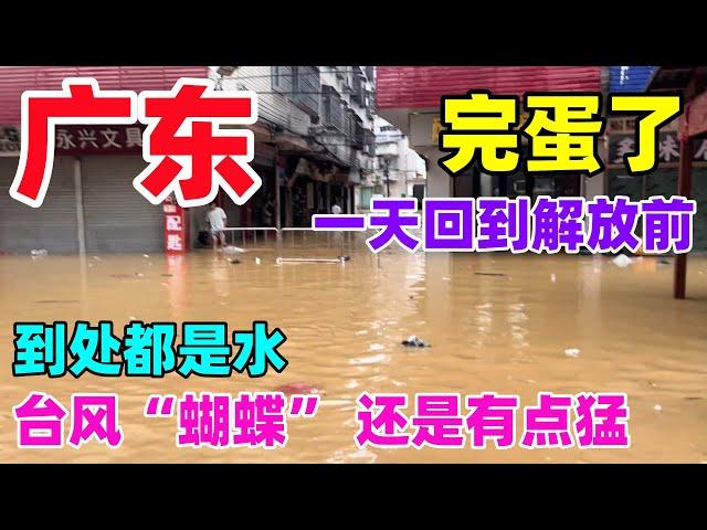 广东完蛋了，一天回到解放前，到处都是水，台风“蝴蝶”还是有点猛...#广东暴雨#蝴蝶#台风
