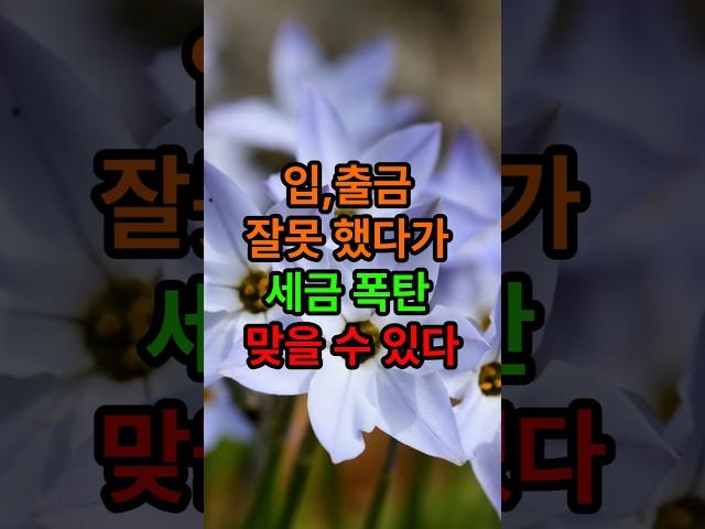 입,출금 잘못 했다가 세금 폭탄 맞을 수 있다#삶의지혜#좋은글 #인생조언