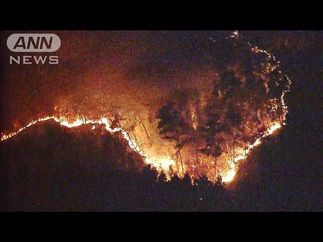 大船渡市の山火事 発生6日目 消火活動続く(2025年3月3日)