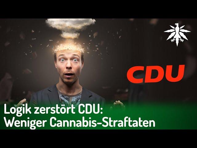 Logik zerstört CDU: Weniger Cannabis-Straftaten | DHV-News # 447