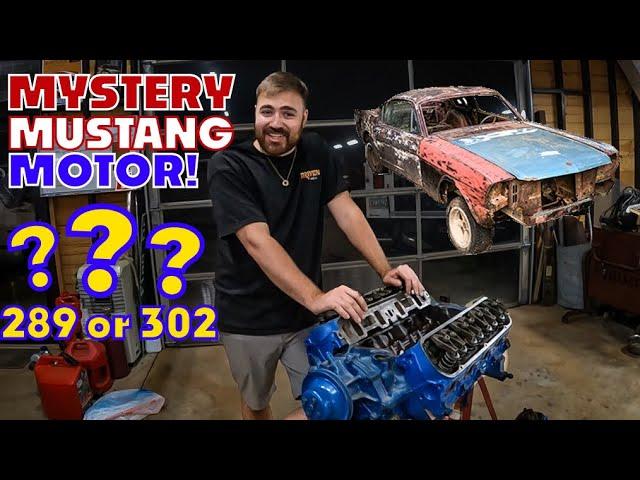 Can We Build a Small Block Ford from Junky Old Parts? Super Cheap Mustang Fastback Build!