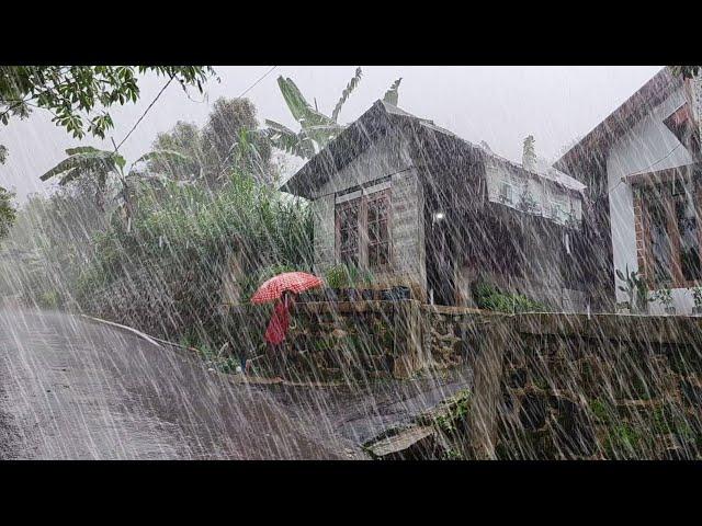 Super heavy rain hits villages life, walking in super heavy rain, rain and thunder sounds for sleep