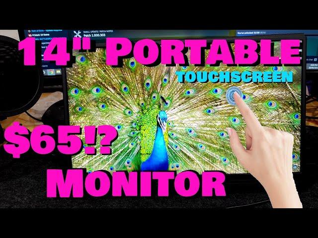 ZSUS 14 INCH PORTABLE MONITOR