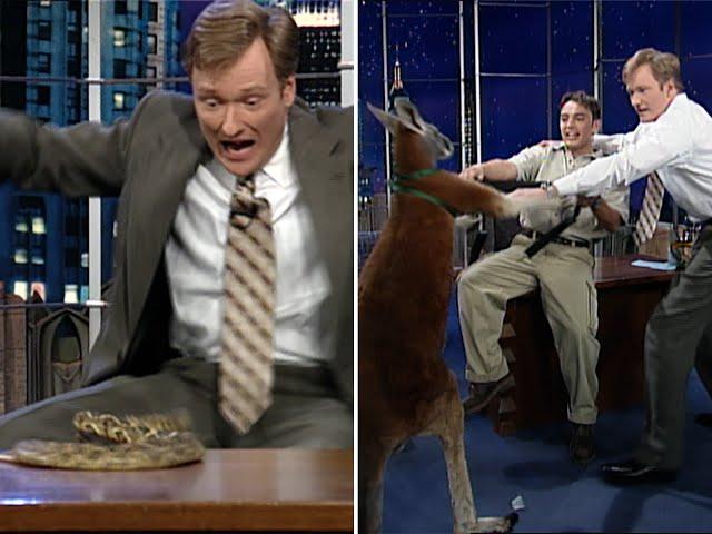 Animal Expert Jarod Miller: The Kangaroo Incident | Late Night with Conan O’Brien