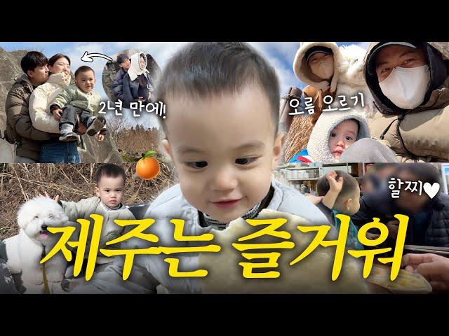 [VLOG] 하루만에 적응 완료⁉️ 웃음이 끊이지 않는 제주 (새별오름, 성이시돌목장, 제주동문시장, 로컬맛집)