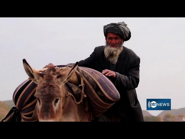 Fall colors in Balkh's Sholgara district | تصاویر خزانی ولسوالی شولگره بلخ