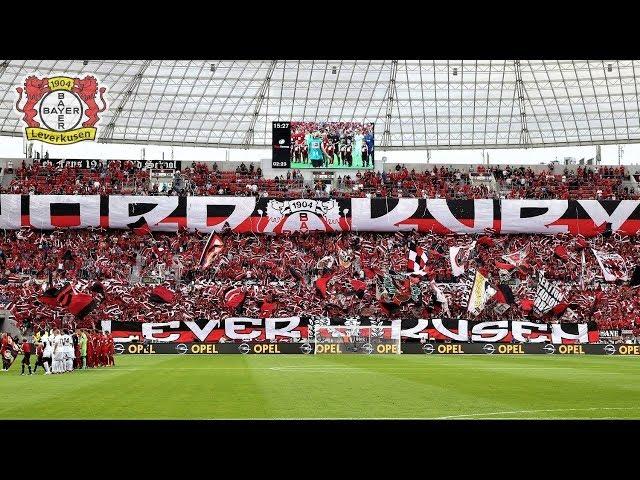 Bayer 04 Leverkusen Fans - ULTRAS AVANTI